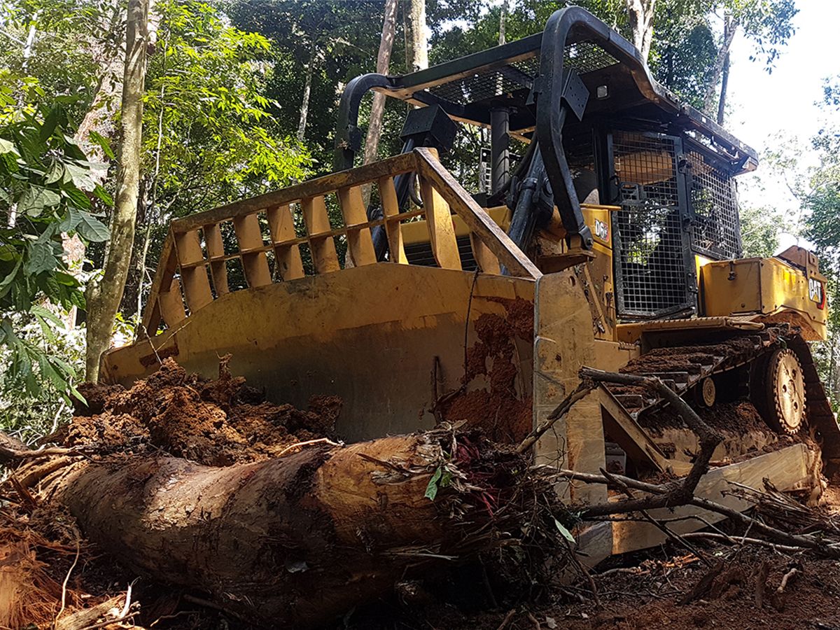 D6 GC - Image 3